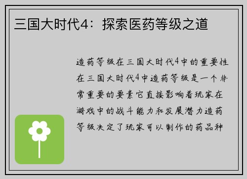 三国大时代4：探索医药等级之道
